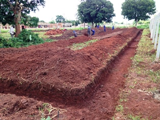 digging_foundations_web.JPG