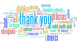 Thank you very much, Merci beaucoup, Vielen Dank. Dank je wel, Webale nyo, Apwoyo matek, Grazie, Gracias, Asante sana